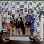 Udo winning the stud dog class at the Briard Club of America National 2011 with daughter Maggie and son Buzz