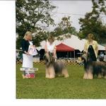 Udo winning the Michigan Ohio Specialty with son Smokey and daughter Maggie Winners Dog and Winners Bitch