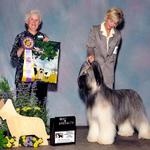 Udo winning his first specialty at almost 2 years old shown by our friend Pat Murray under Herding dog authority Mrs Nancy Smith.