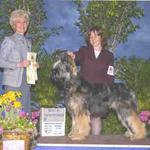 Udo finishing his championship at the Atlantic States Briard Club specialty weekend. Here he is pictured winning Best In Sweepstakes under judge June Penta on the same weekend at 10 months old.