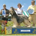 Ch Deja Vu Up Close & Personal Group One. My favorite Briard picture of them all.