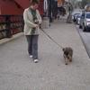 socializing through downtown Chagrin Falls, Ohio