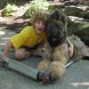 Dill as a puppy socializing with a kid. To this day, he still loves kids.